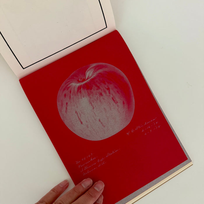100 Writing and Crafting Papers of Fruit