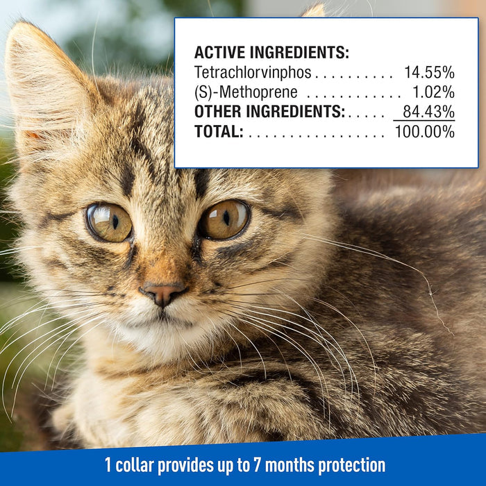 Adams Plus Cat Flea & Tick Collar - FAXC - 7