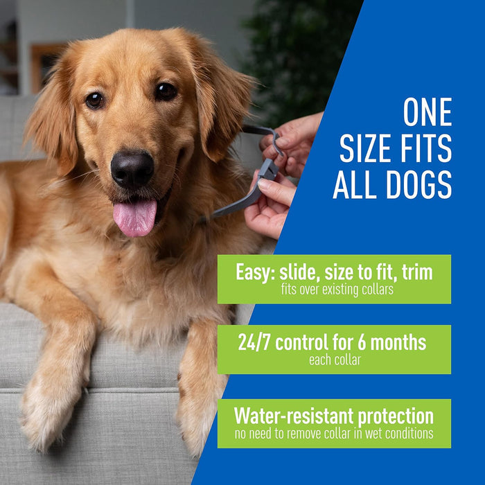 Adams Premium Flea & Tick Collar Plus for Dogs (2 pk/Gold Tin) - FA3Q - 3
