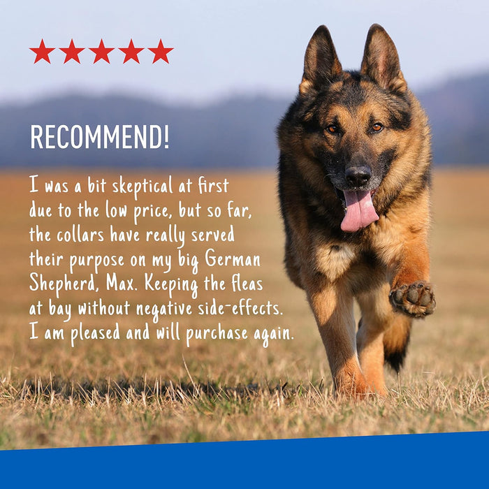 Adams Premium Flea & Tick Collar Plus for Dogs (2 pk/Gold Tin) - FA3Q - 7