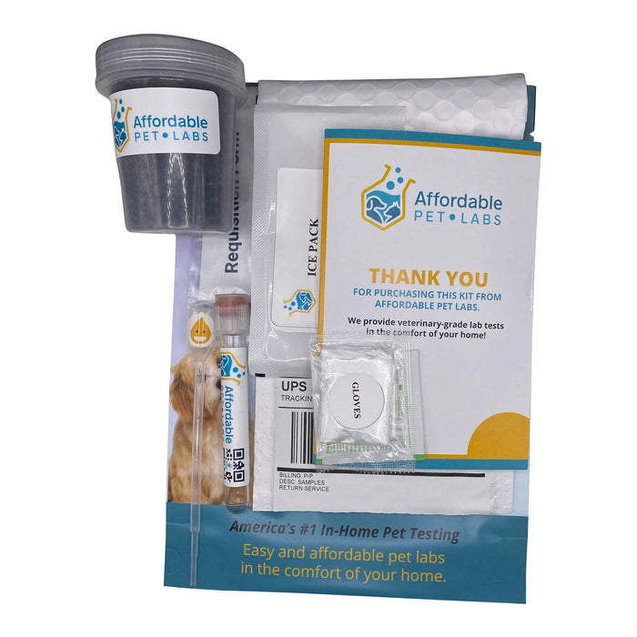 Affordable Pet Labs - Combo Complete Urinalysis & Fecal Test For Cats, Easy Home Kit - AF214 - 4