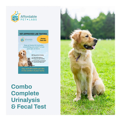 Affordable Pet Labs - Combo Complete Urinalysis & Fecal Test For Dogs, Easy Home Kit - AF21D - 1