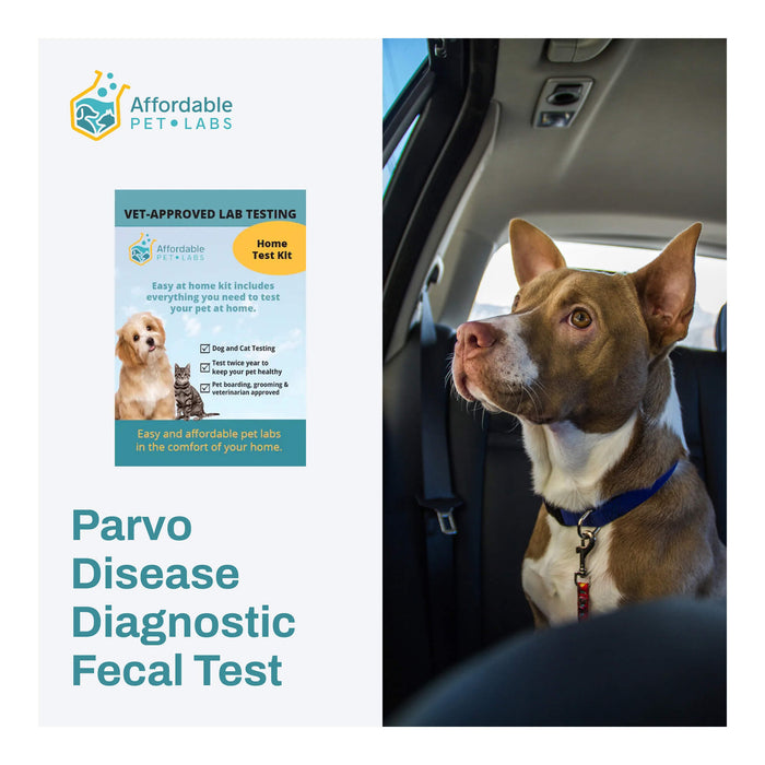 Affordable Pet Labs - Parvo Disease Diagnostic Fecal Test For Dogs, Easy Home Kit - AF21N - 1