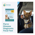 Affordable Pet Labs - Parvo Disease Diagnostic Fecal Test For Dogs, Easy Home Kit - AF21N - 1