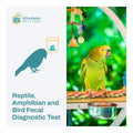 Affordable Pet Labs - Reptile, Amphibian & Bird Fecal Diagnostic Test, Easy Home Kit - AF21R - Kit - 1