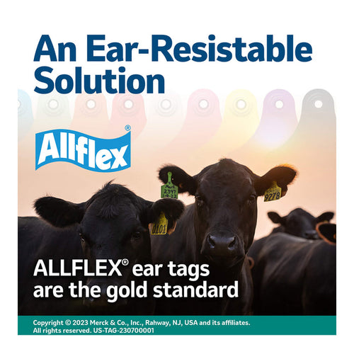 ALLFLEX Safety Ear Tag Removal Tool - Knife - Y3W3 - Blue - Hang Tag - 2