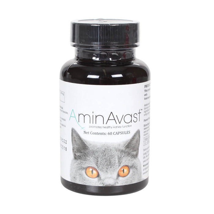 AminAvast for Cats, 60 Capsules - 015BHS-4927 - White - 1