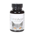 AminAvast for Cats, 60 Capsules - 015BHS-4927 - White - 1