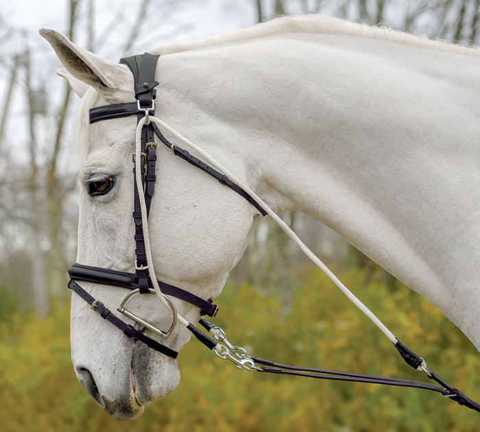 Avignon De Gogue Training Aid - SEP1RA - Black - 1