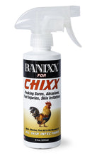 Banixx for Chixx - SHEAA - 1
