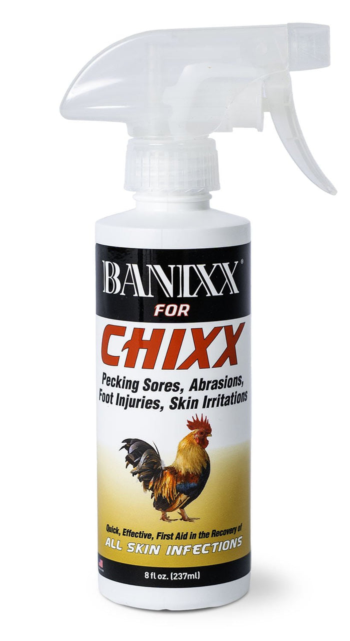 Banixx for Chixx - SHEAA - 1