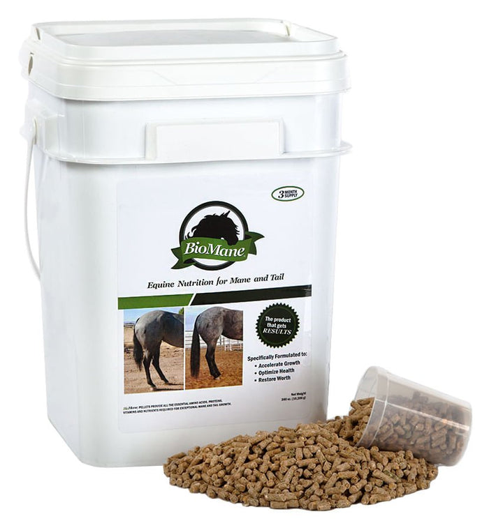 BioMane Equine Pellets for Healthy Mane & Tail - BMPB - 24 lb BioMane Equine Pellets - 2