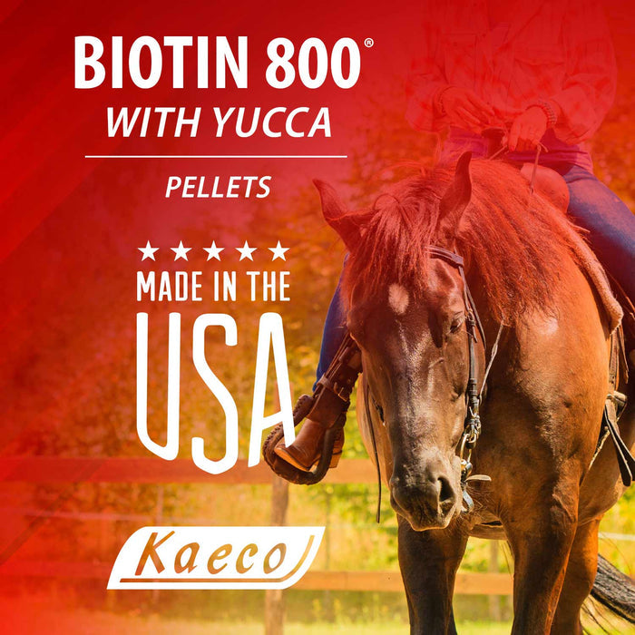 Biotin 800 Pellets Equine Supplement - KKB5 - 6 lb Biotin 800 Pellets - 3