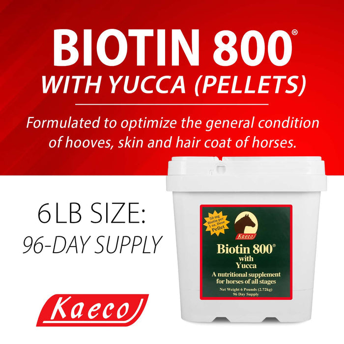 Biotin 800 Pellets Equine Supplement - KKB5 - 6 lb Biotin 800 Pellets - 4
