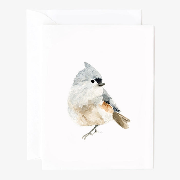 Birds Assorted Notecards by Emily Lex | 8 Notecards