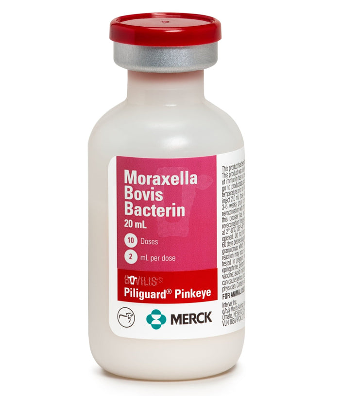 Bovilis Piliguard Pinkeye Cattle Vaccine - SHP3 - 10 Dose - 3