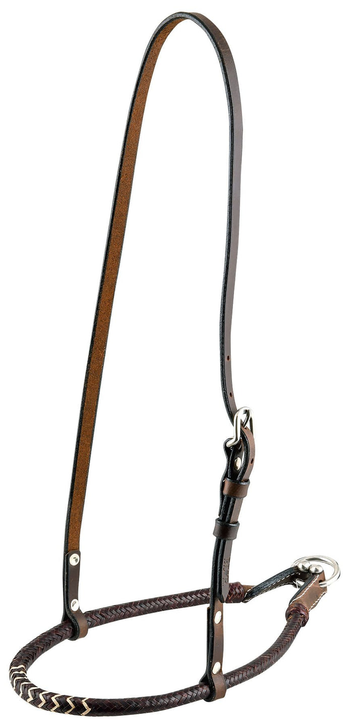 Buffalo Leather Rolled Rawhide Noseband for Horses with Stainless Steel Hardware - BUF1S - Dark Rawhide - 3