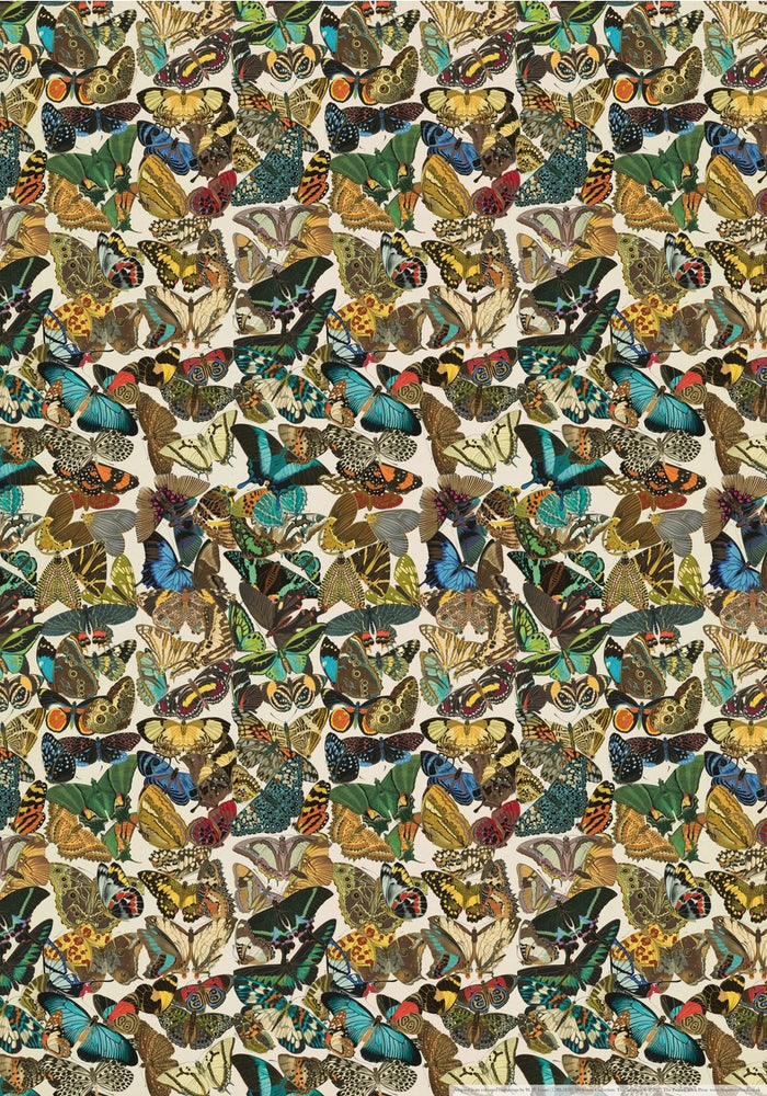 Butterflies Print/Wrap