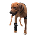 Caldera Pet Therapy Carpal Wrap with Therapy Gel, Large - 014CAL-16003 - Black - 1