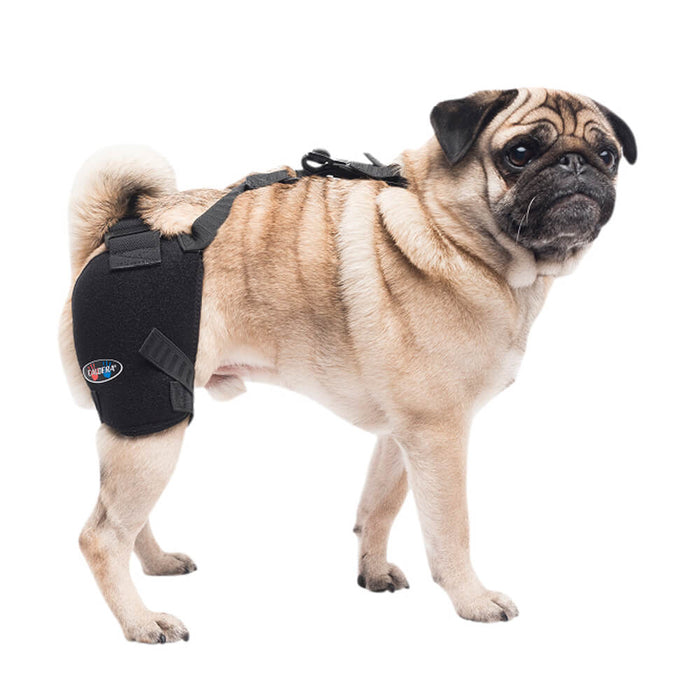 Caldera Pet Therapy Hip Wrap with Therapy Gel - 014CAL-14002 - Small - 1