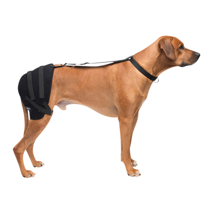 Caldera Pet Therapy Hip Wrap with Therapy Gel - 014CAL-16002 - Large - 3