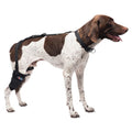 Caldera Pet Therapy Short Stifle Wrap with Therapy Gel, Medium - 014CAL-15005 - Black - 1