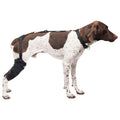 Caldera Pet Therapy Tall Stifle Wrap with Therapy Gel - 014CAL-15006 - Medium - 1