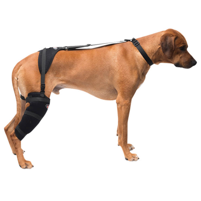 Caldera Pet Therapy Tall Stifle Wrap with Therapy Gel - 014CAL-16006 - Large - 2