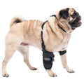 Caldera Pet Universal Therapy Carpal/Elbow Wrap with Therapy Gel - 014CAL-14003 - Small - 1