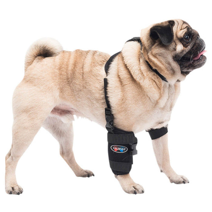 Caldera Pet Universal Therapy Carpal/Elbow Wrap with Therapy Gel - 014CAL-14003 - Small - 1