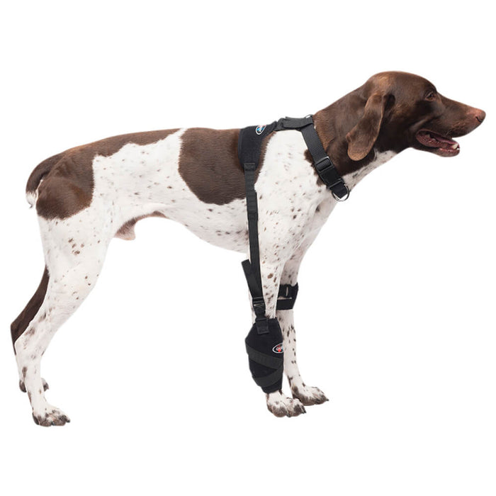 Caldera Pet Universal Therapy Carpal/Elbow Wrap with Therapy Gel - 014CAL-15003 - Medium - 2