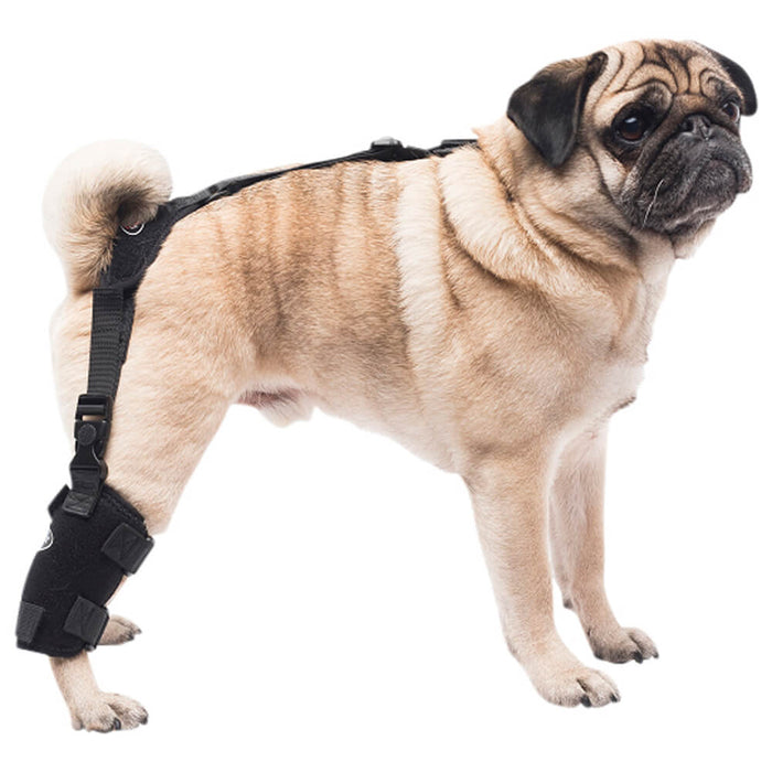 Caldera Pet Universal Therapy Tarsal/Stifle Wrap with Therapy Gel, Small - 014CAL-14004 - Small - 1