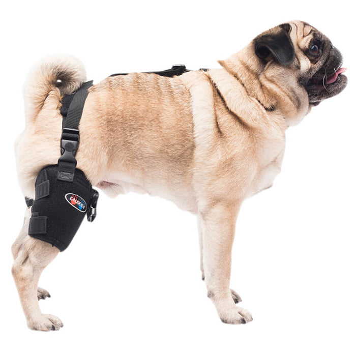 Caldera Pet Universal Therapy Tarsal/Stifle Wrap with Therapy Gel, Small - 014CAL-14004 - Small - 2