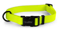 Carnival Dog Collars - LY31 - Neon Yellow - 1"x 18 - 26" - 1