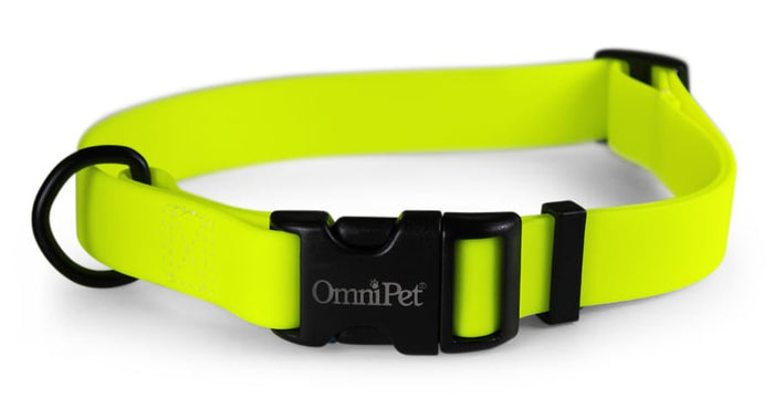 Carnival Dog Collars - LY31 - Neon Yellow - 1"x 18 - 26" - 1