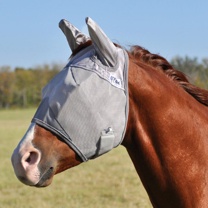 Foal / Solid Grey