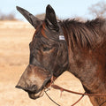 Cashel Quiet Ride Fly Mask with Long Nose & Mule Ears - QL1K4 - Mule Weanling - Black - 1