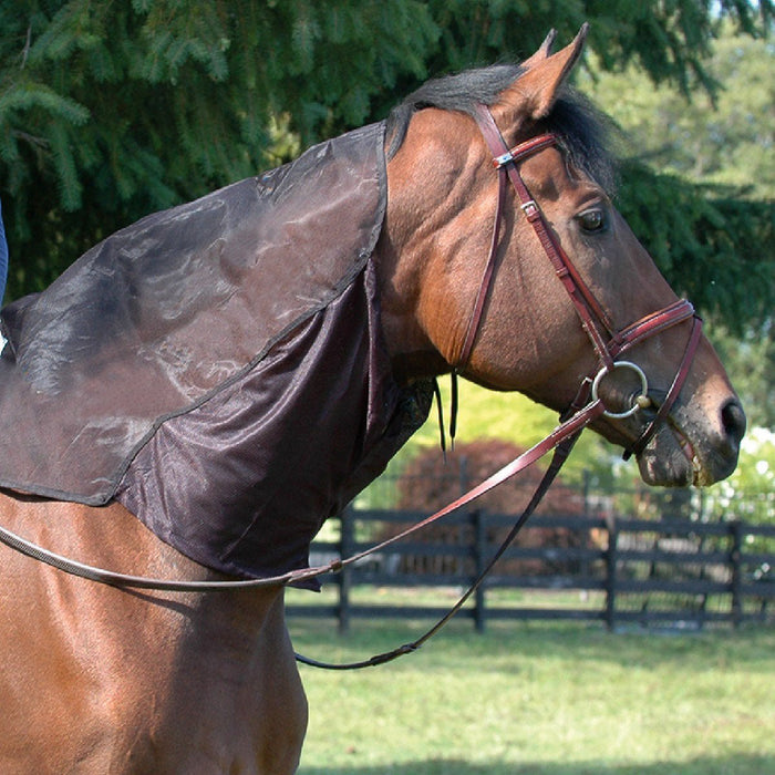 Cashel Quiet Ride Hood - QLAJ - 1
