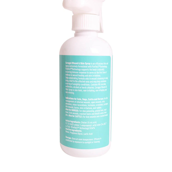 Ceragyn Wound and Skin Formula - 019VED-CERAGYN-12 - 12 oz - 5