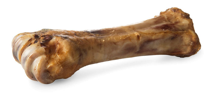 ChewMax Beef Shank Bone - CMPBO - 1