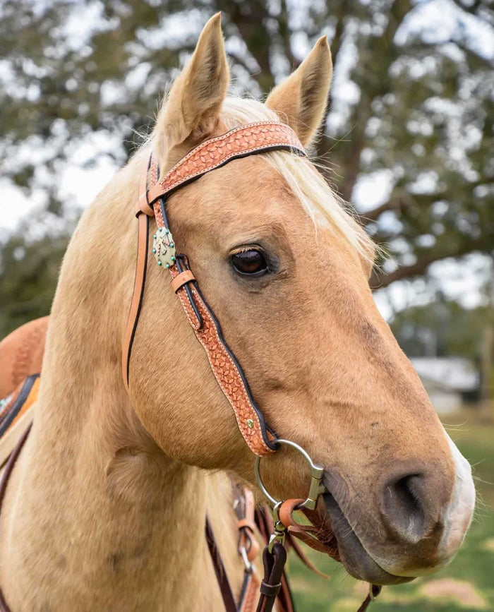 Circle Y Windsor Browband Headstall, Full - RD1FL - Light Brown - Full - 4