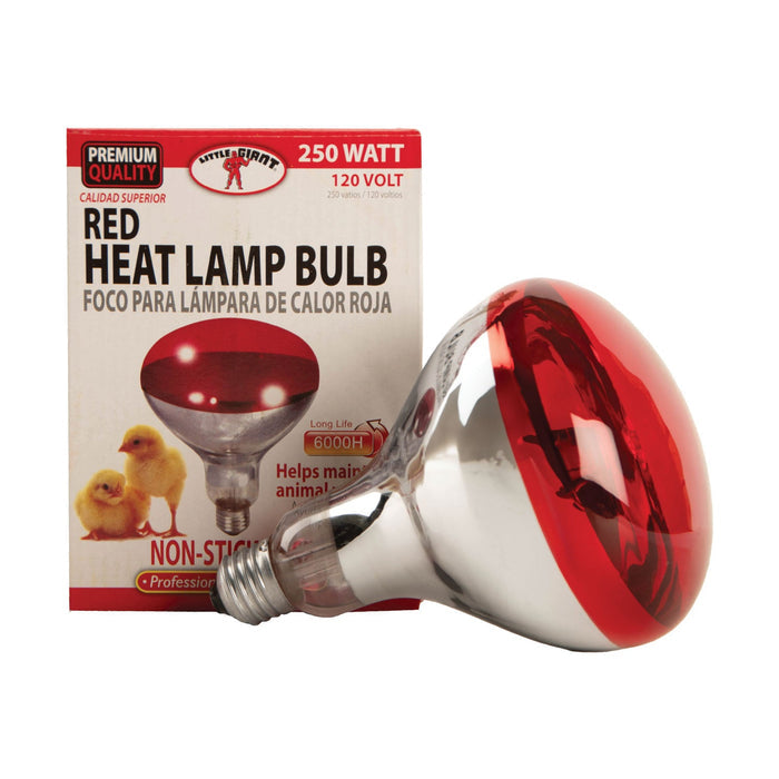 Red Heat Lamp Bulb, 250 watt/120v - M3BG - 1