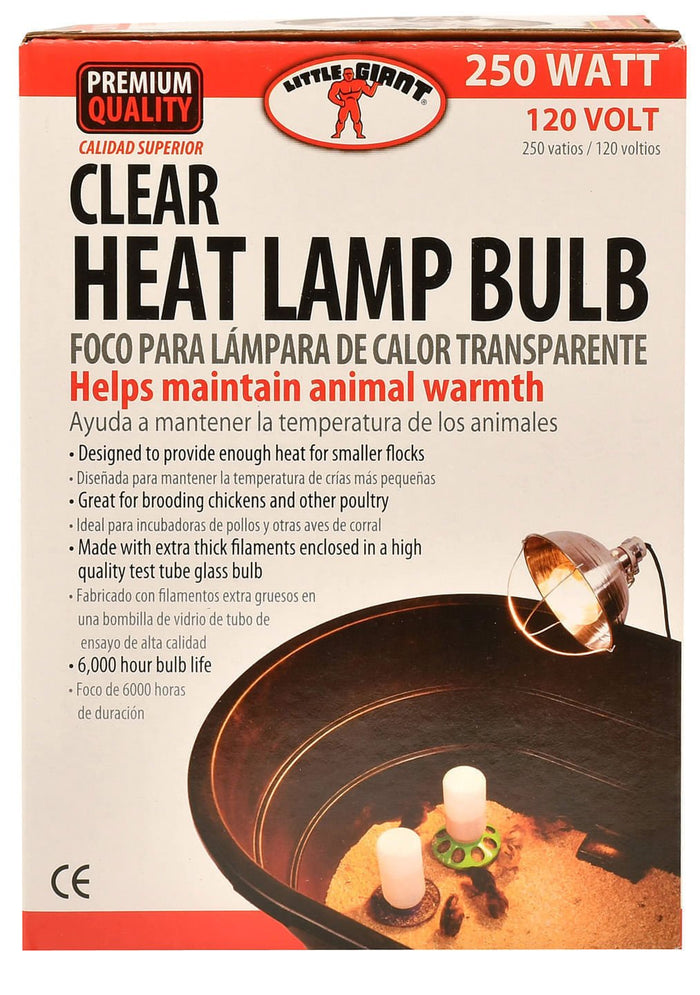 Clear Heat Lamp Bulb, 250 Watt - M3HM - 1