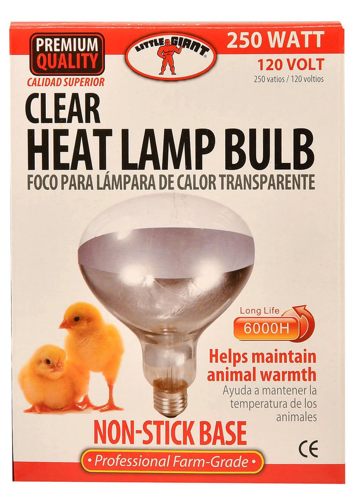 Clear Heat Lamp Bulb, 250 Watt - M3HM - 3