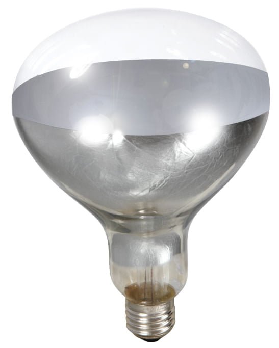 Clear Heat Lamp Bulb, 250 Watt - M3HM - 2