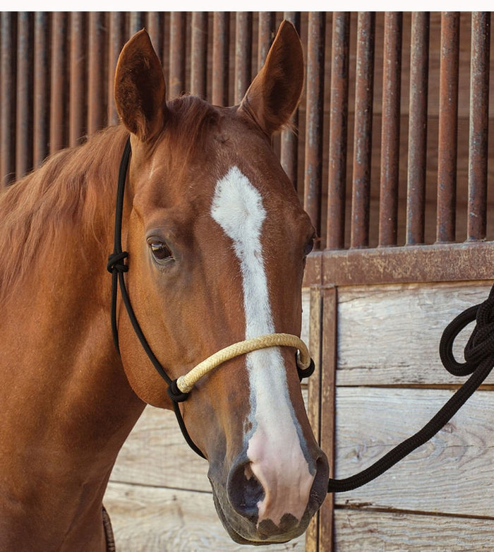 Classic Equine Braided Rawhide Nylon Rope Halter - CR8V - Natural - 4