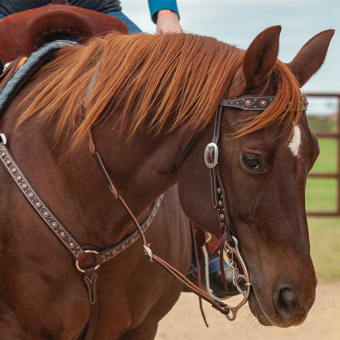 Classic Equine Copper Dot Browband Headstall - CR95 - 2