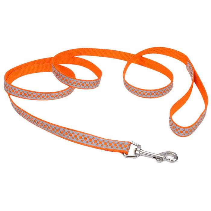 Coastal Pet Lazer Brite Dog Leash, 6' x 1" - C2BL - Blue Lagoon Wave - 4