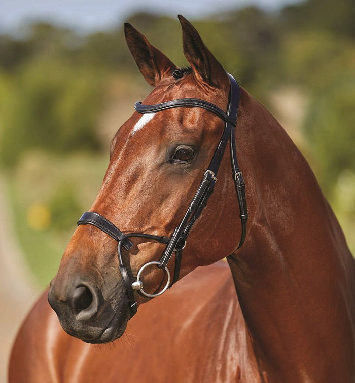 Collegiate ComFITec Training Bridle - 0V1UT - Black - Cob - 1