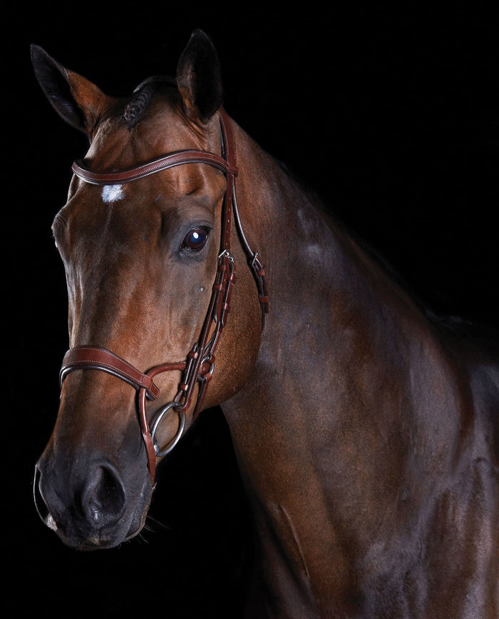 Collegiate ComFITec Training Bridle - 0V1UV - Brown - Cob - 2